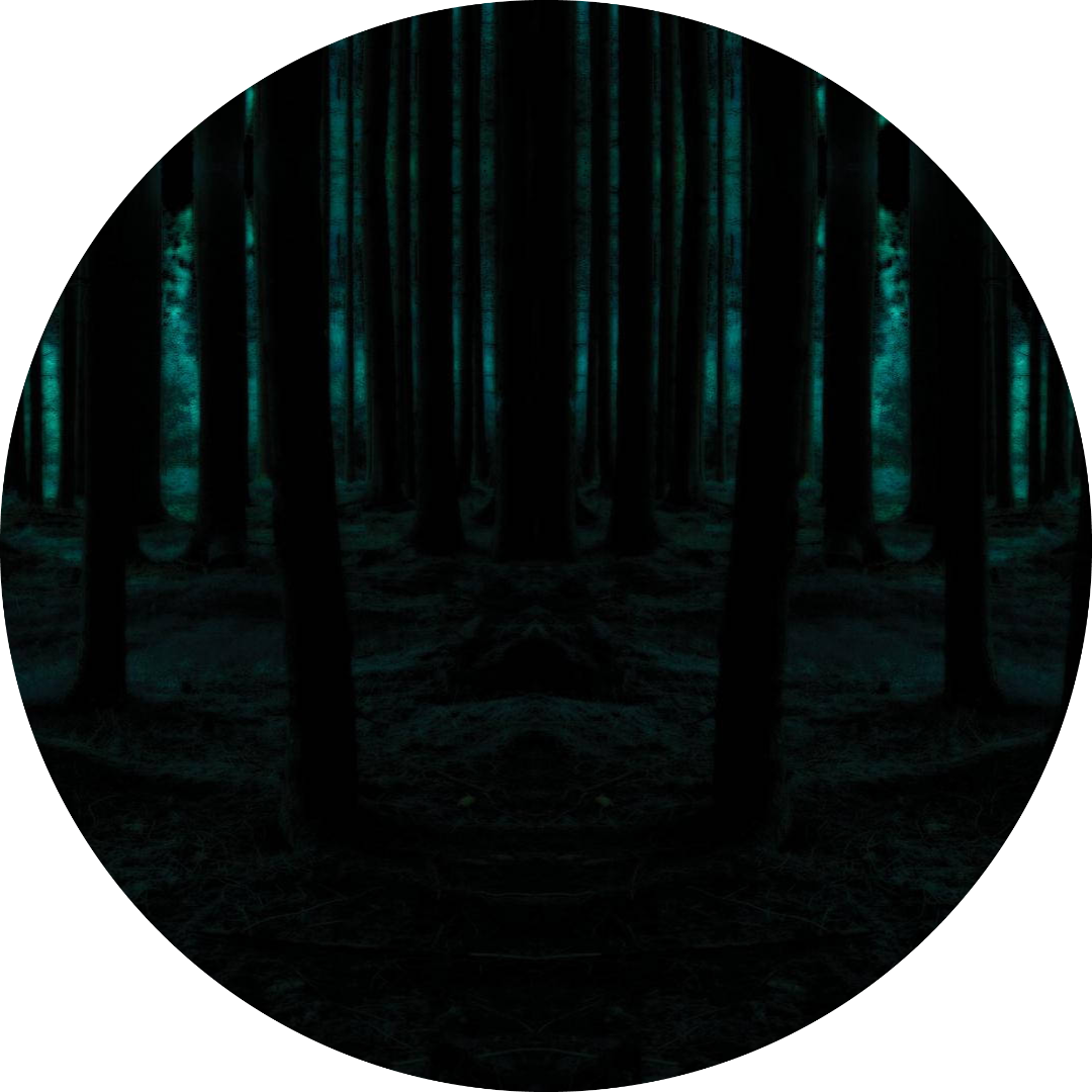 Dark Forest by kisik